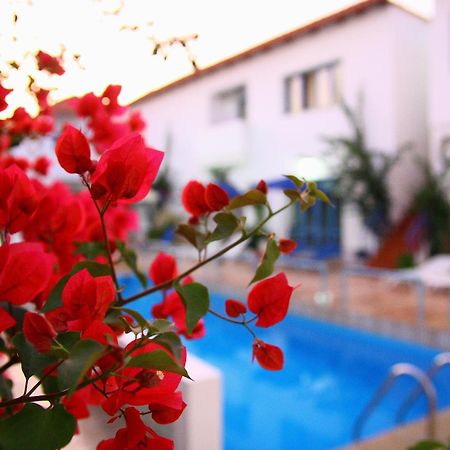 Iliana Hotel Panormos  Bagian luar foto