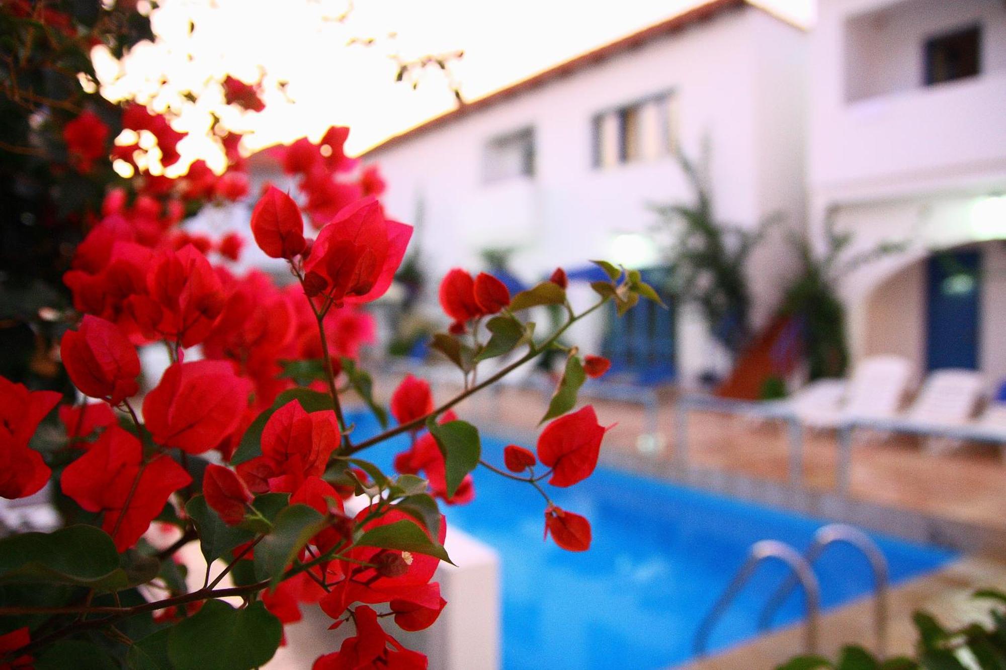 Iliana Hotel Panormos  Bagian luar foto